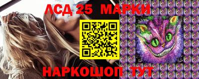apvp Камышлов