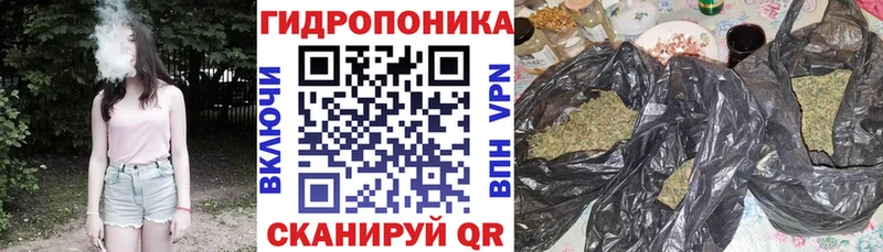 что такое   Можайск  МАРИХУАНА конопля 