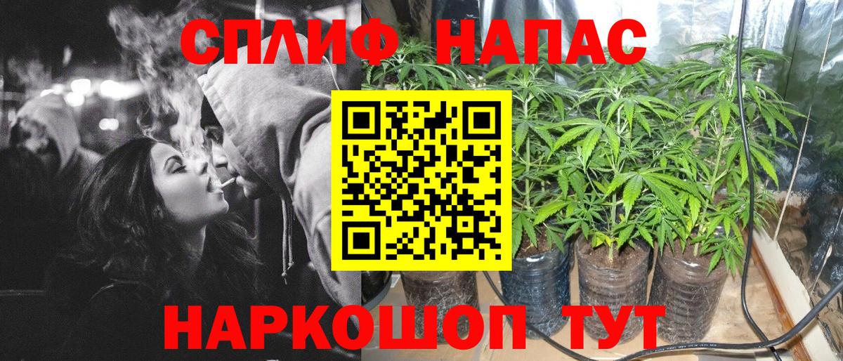 Бошки марихуана Amnesia  Вход с VPN  Бошки Шишки VHQ  МАРИХУАНА индика  Можайск 